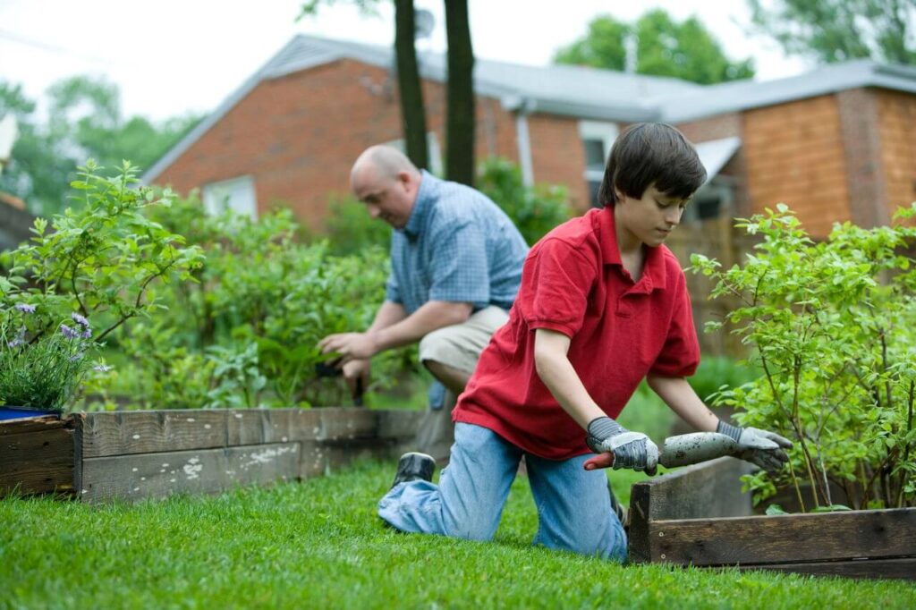Bezpieczna Higiena Pracy w Twoim ogrodzie