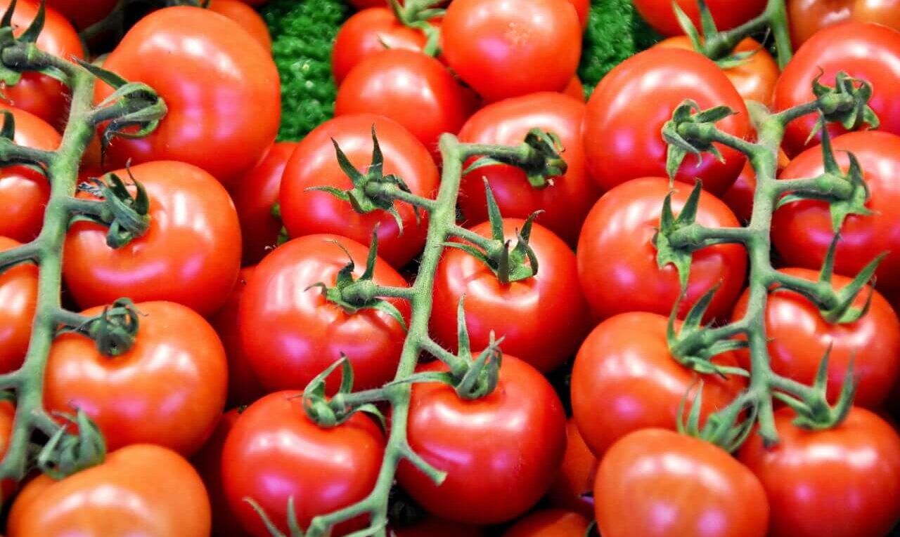 pomidory-prosto-ze-szklarni